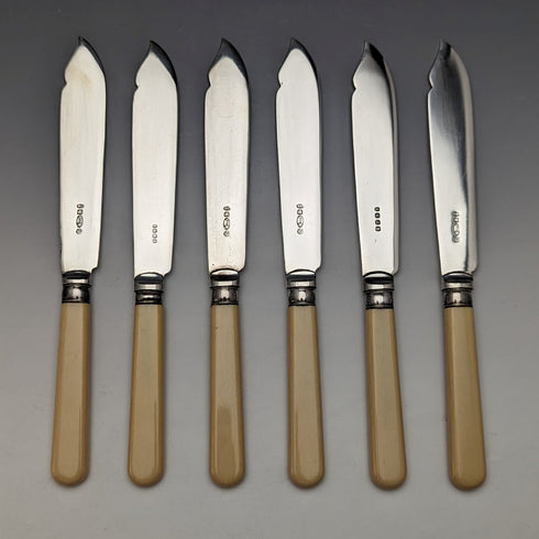 British Vintage Resin Handle Fish Cutlery 6 Pair Set in Wooden Box Cooper Brothers